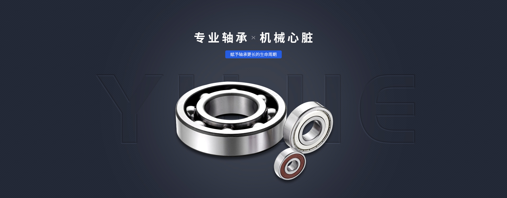 陝(shan)西SKF軸承